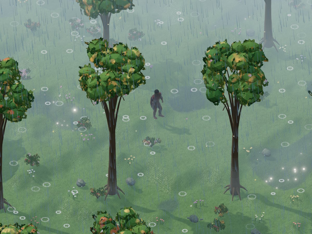 Il bosco sotto la pioggia