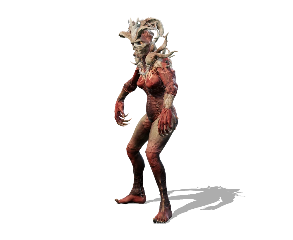 Matriarca cornuta