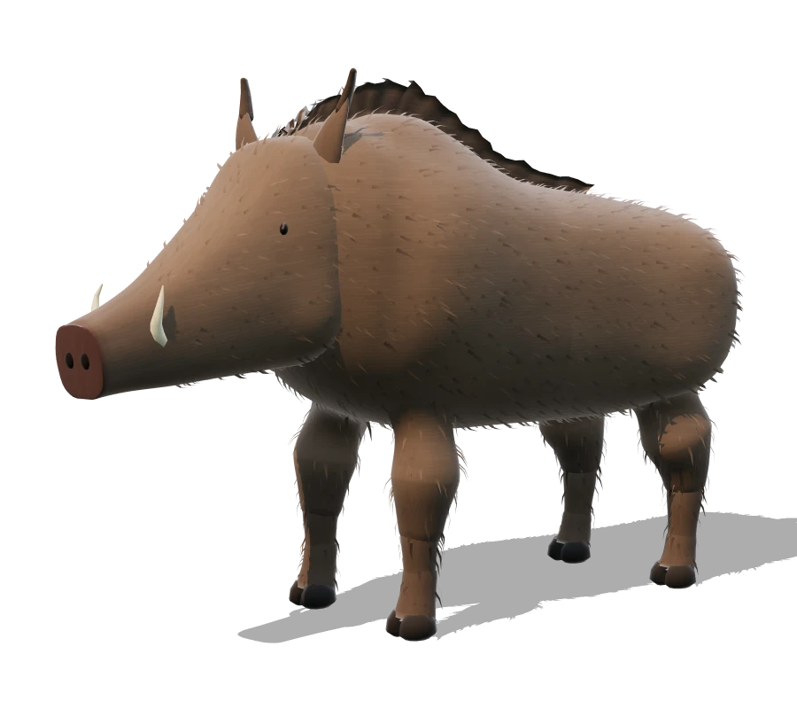 Il cinghiale