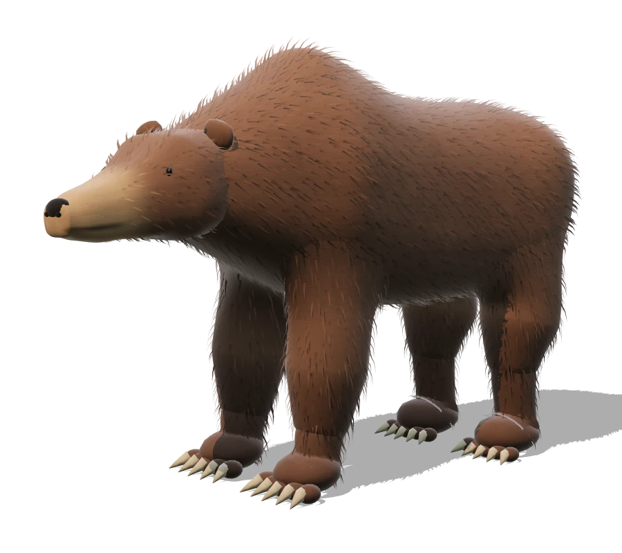 L'orso bruno