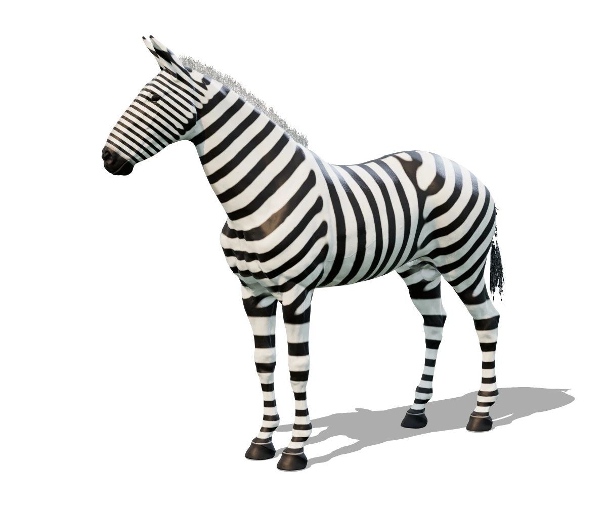 La zebra